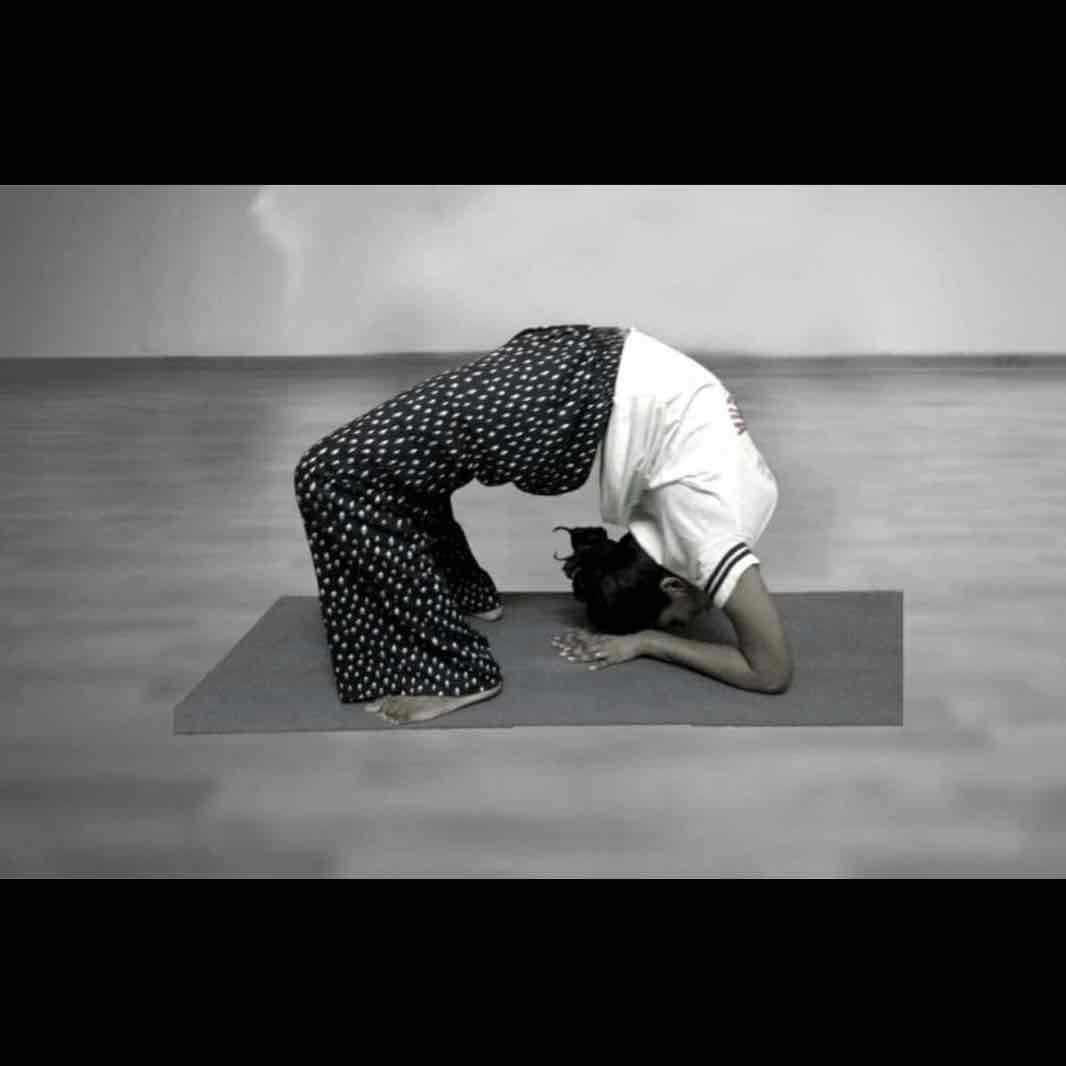 Expertise in Circuit Training, Functional Training, Yoga