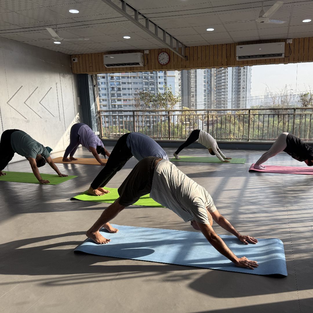 Expertise in Yoga & Ayurveda