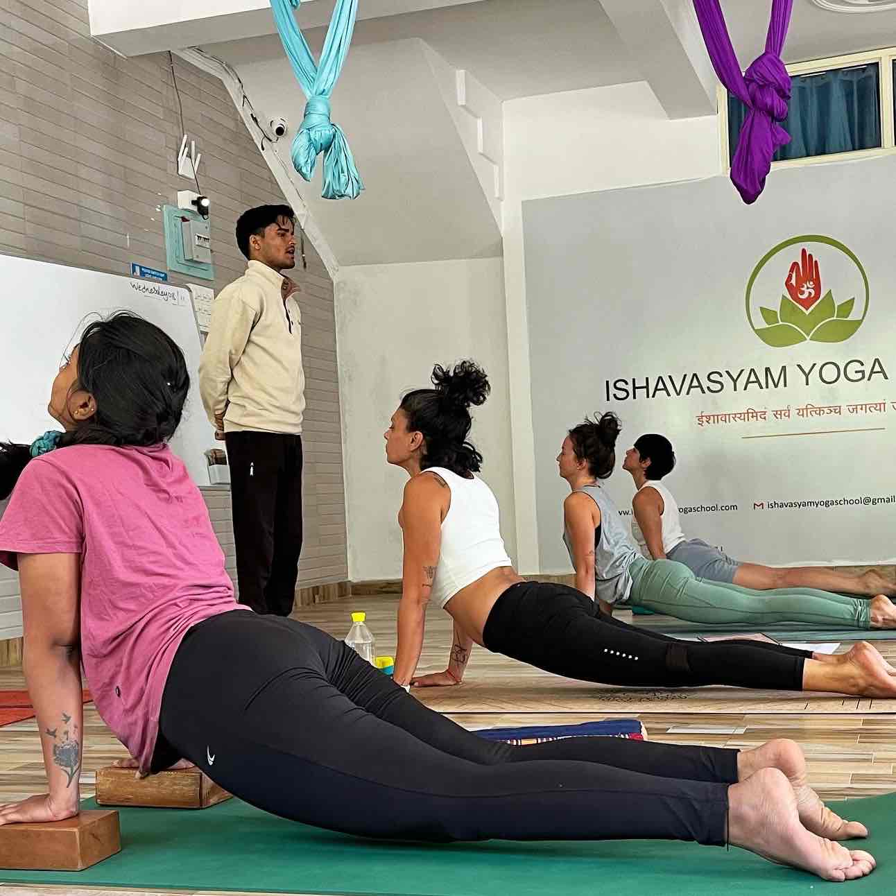 Expertise in Hatha Yoga, Meditation & Breathwork, Power Yoga / Vinyasa