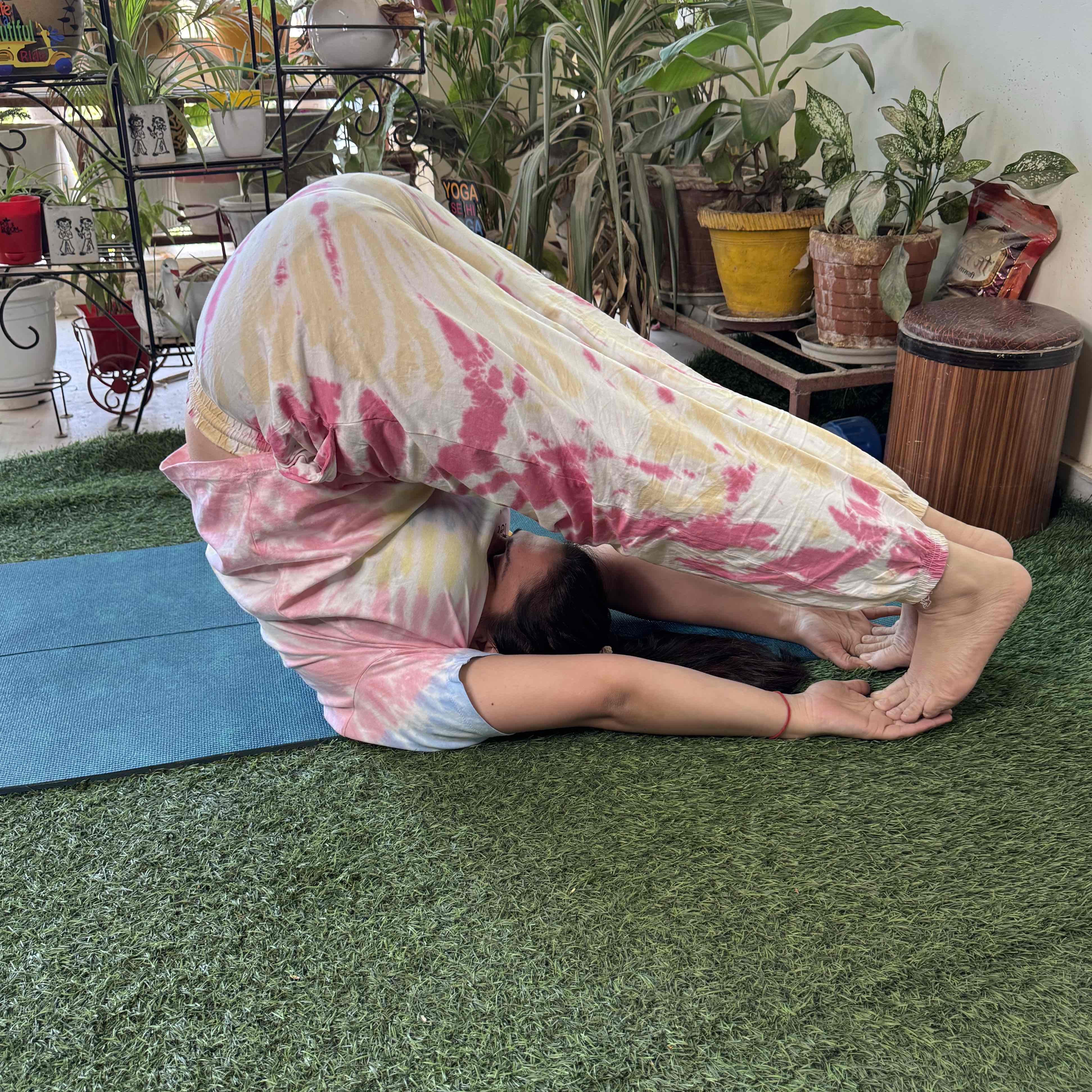 Expertise in PCOS Support (nutrition),Hatha Yoga,Meditation & Breathwork,Power Yoga / Vinyasa