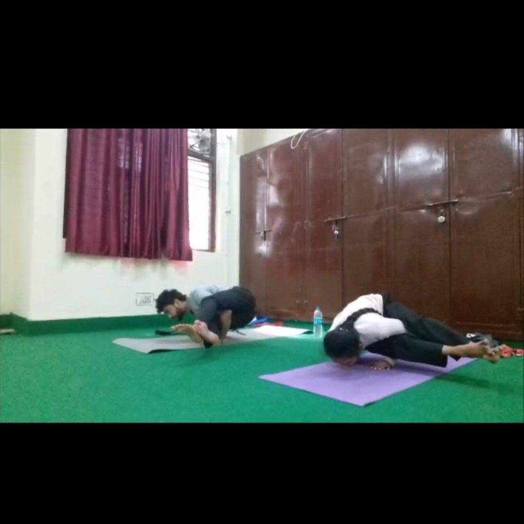 Expertise in Yoga & Ayurveda, Fitness & Training, Sports Performance, Nutrition & Diet, Rehab & Therapy