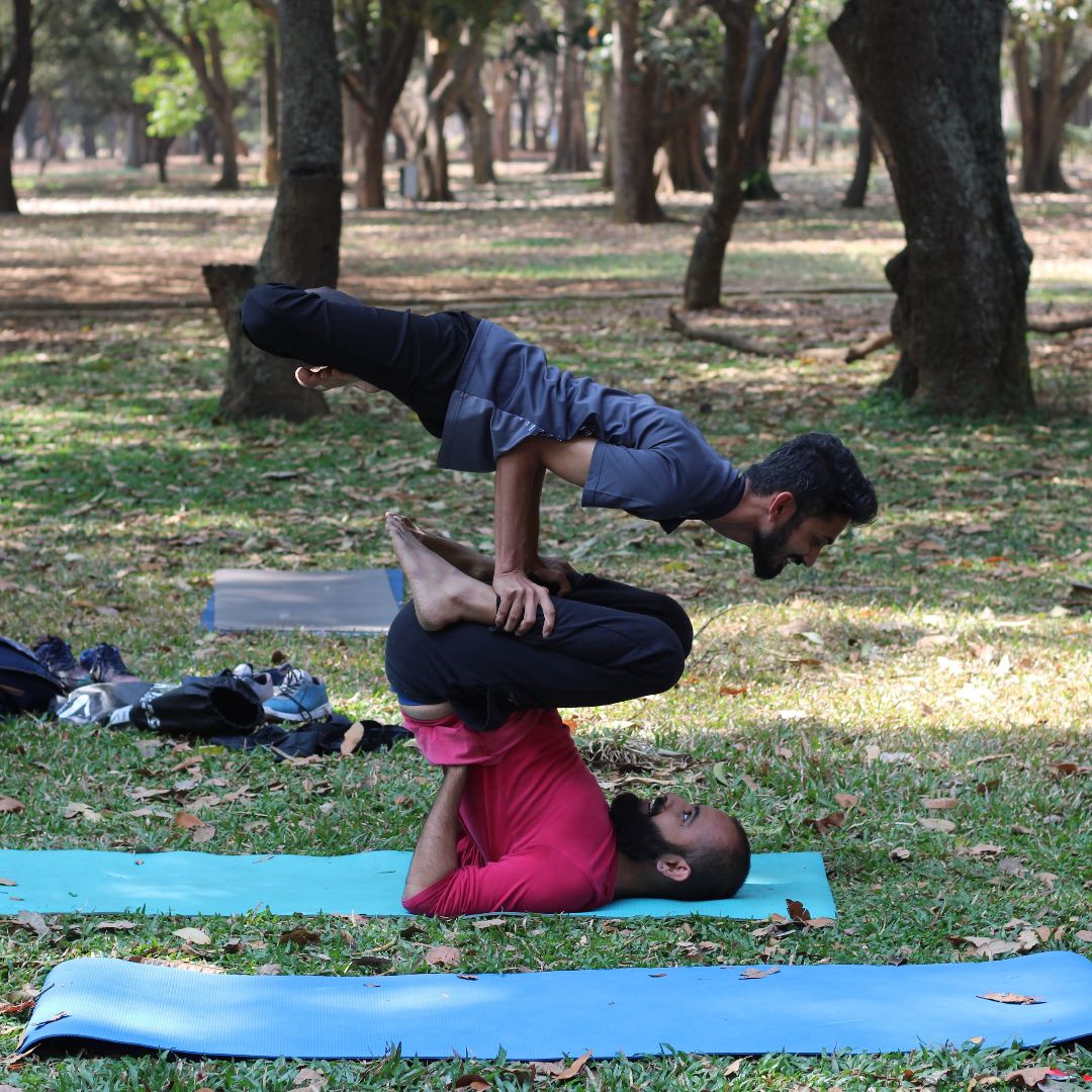 Expertise in Yoga & Ayurveda