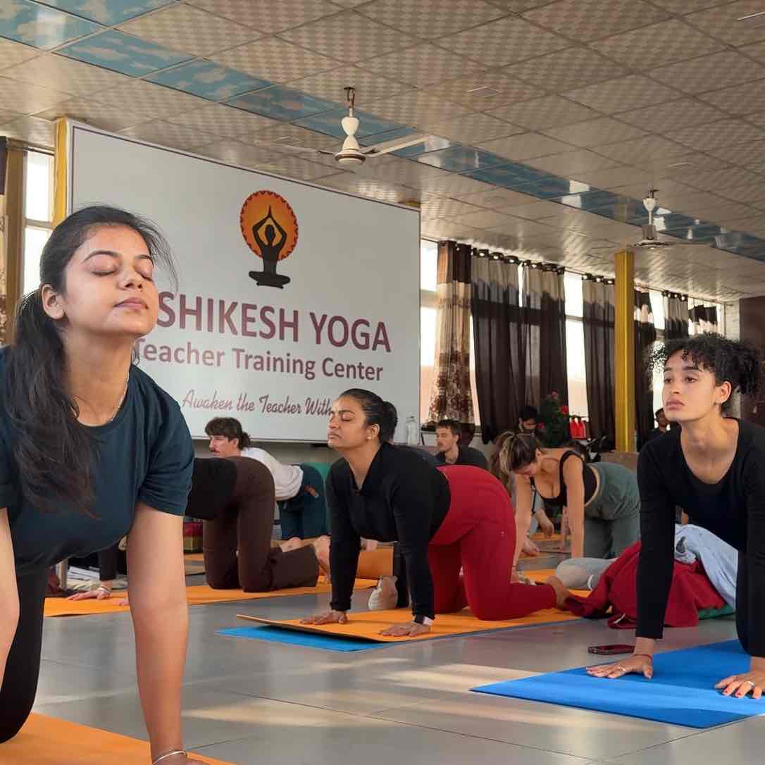 Expertise in Menopause Wellness Coach, PCOS Support (nutrition), Hatha Yoga, Meditation & Breathwork