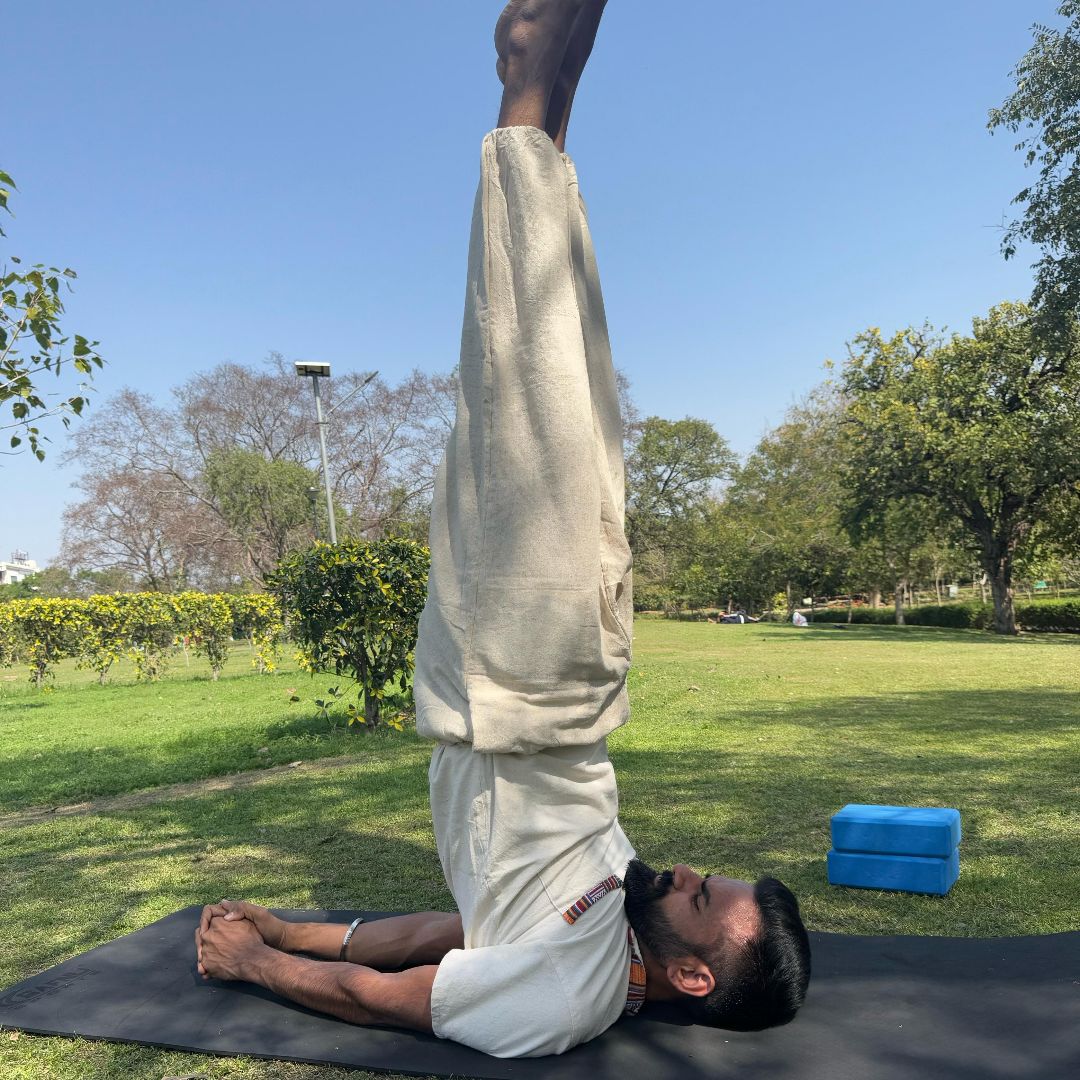 Expertise in Yoga & Ayurveda, Rehab & Therapy