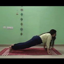 Expertise in Yoga & Ayurveda