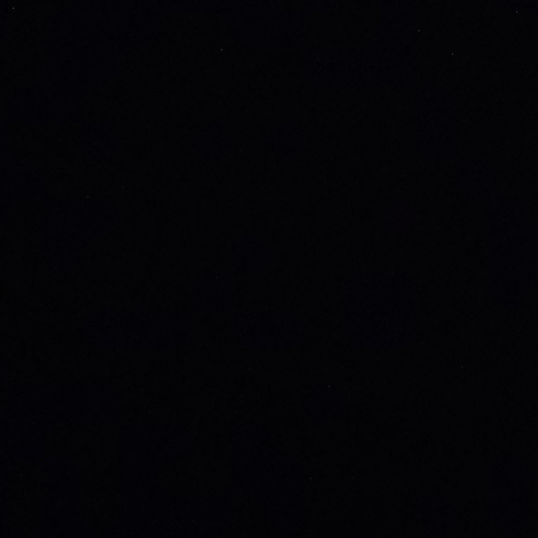 nn - (Nutrition & Diet, Women’s Health)