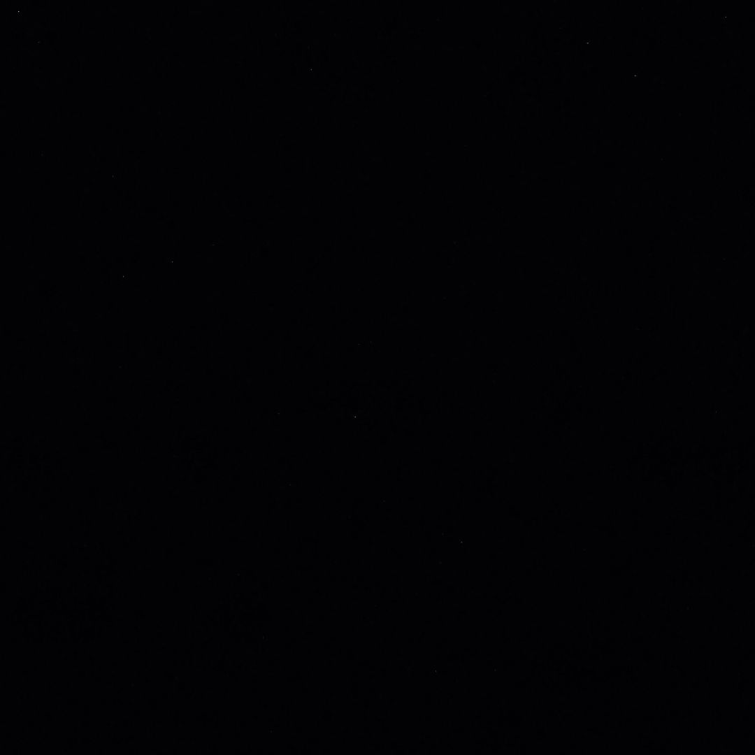 Expertise in Nutrition & Diet, Women’s Health