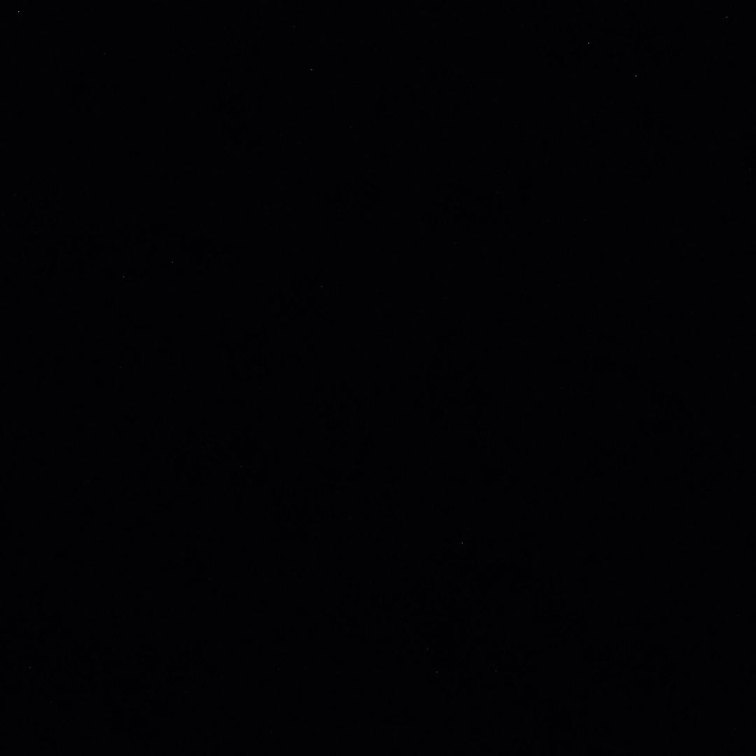 Expertise in Nutrition & Diet, Women’s Health