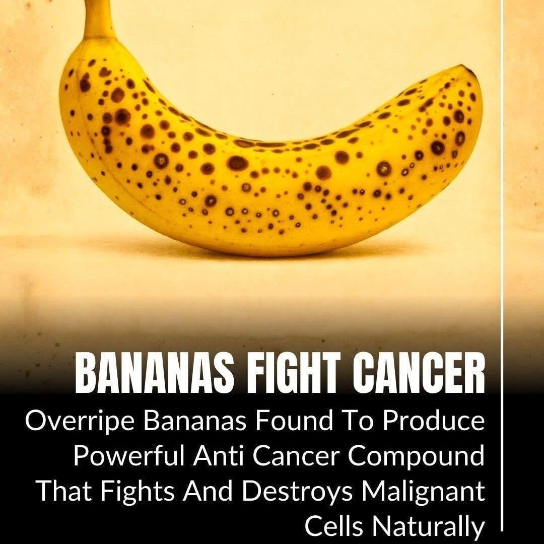 Expertise in Nutrition & Diet