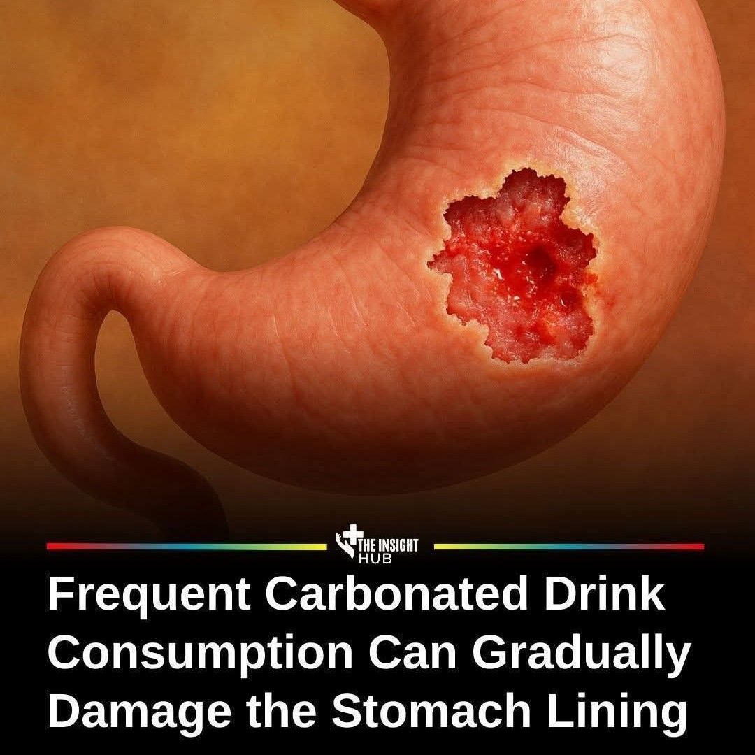 Expertise in Nutrition & Diet