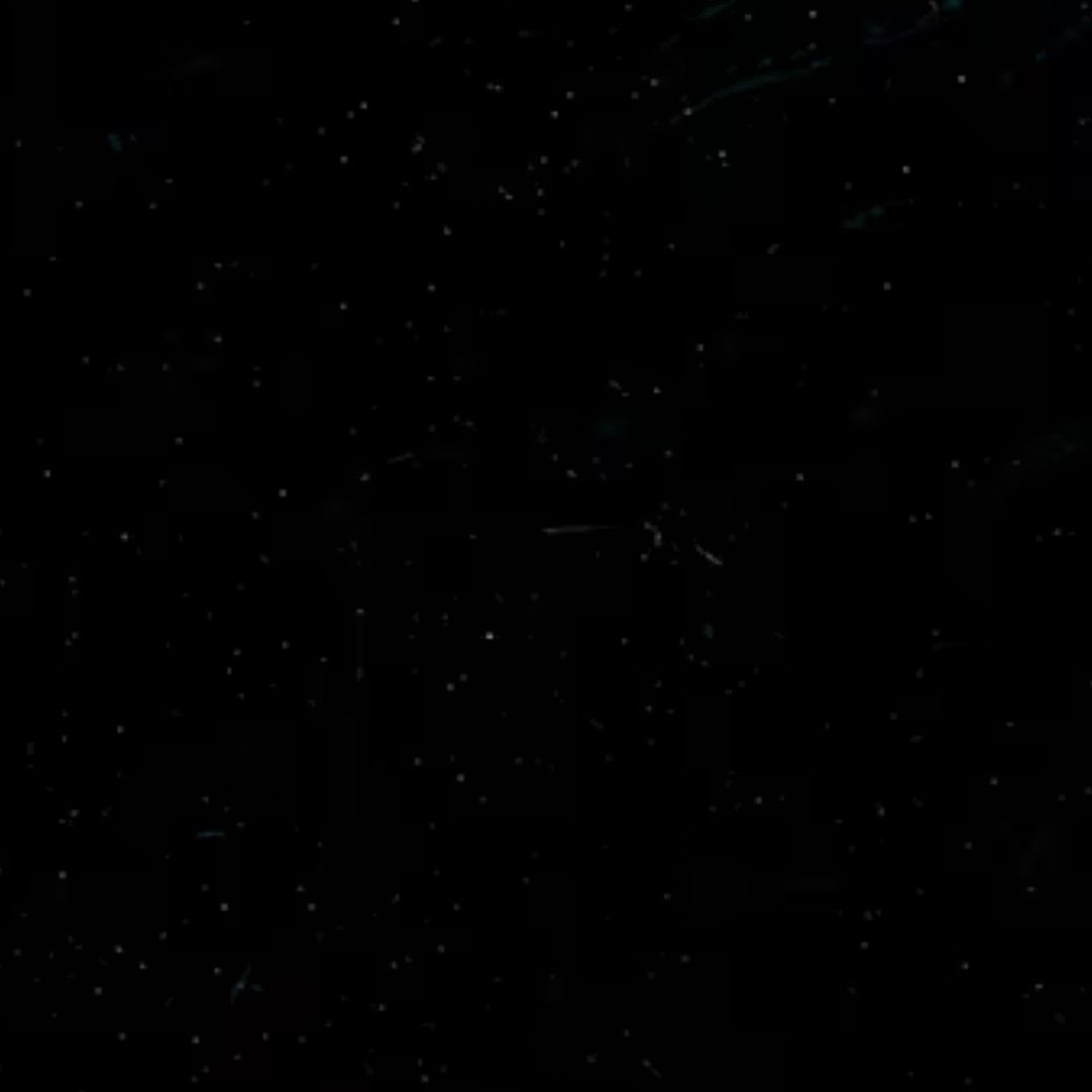 Hafsa Kausar - (Nutrition & Diet)