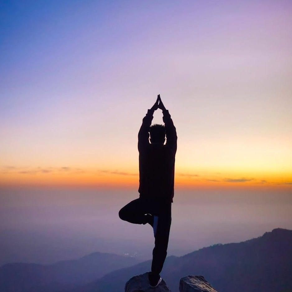 Expertise in Yoga & Ayurveda, Fitness & Training, Mental Wellness