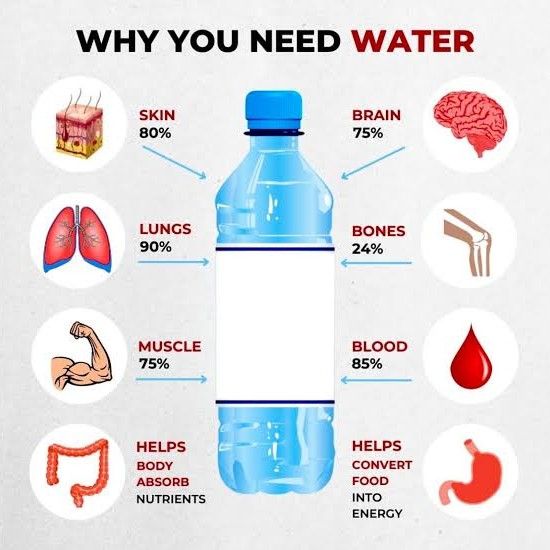 Expertise in Nutrition & Diet, Women’s Health