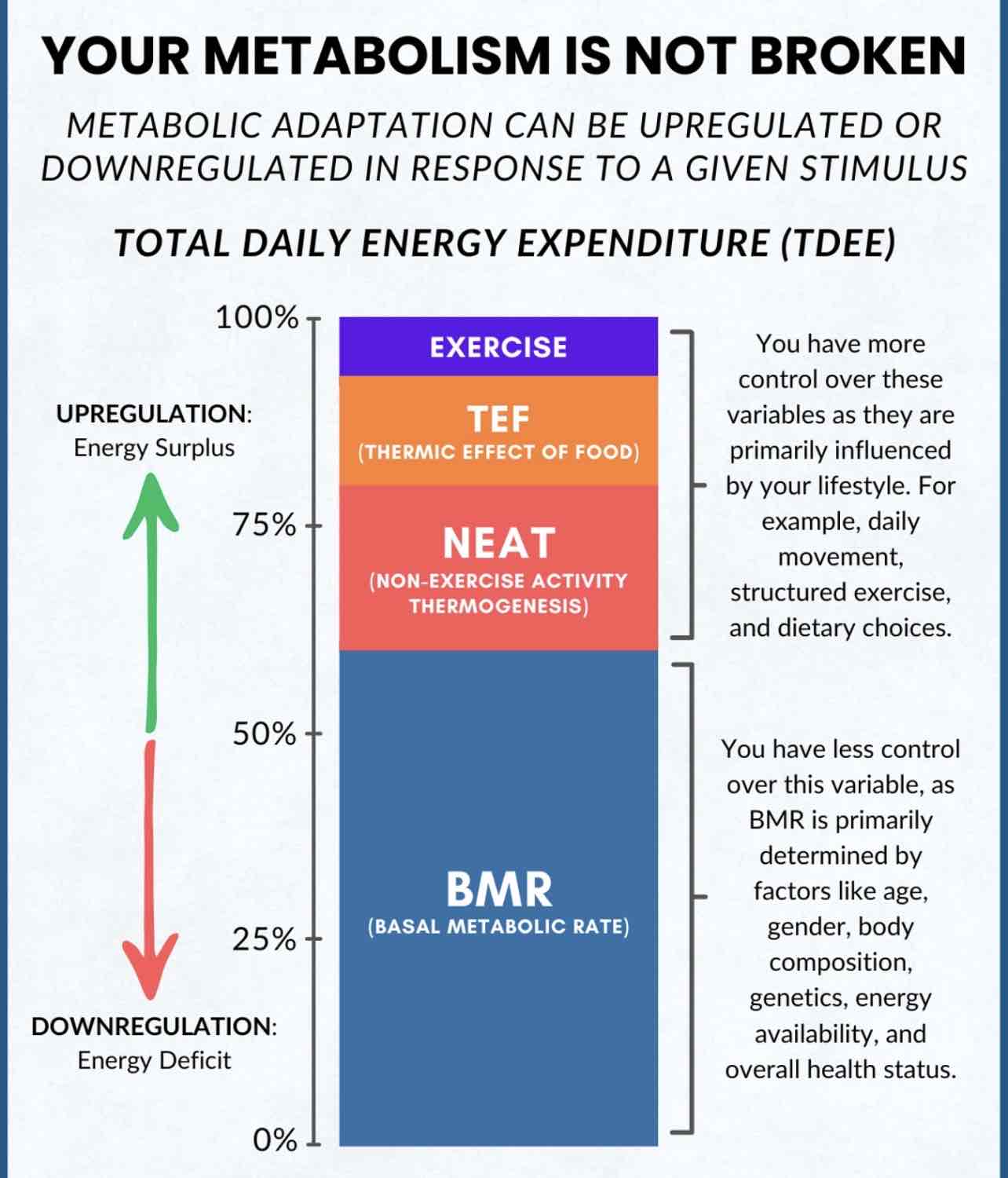 Expertise in Gut-Health Dietitian,Sports & Fitness Nutrition,Weight-Loss Coach