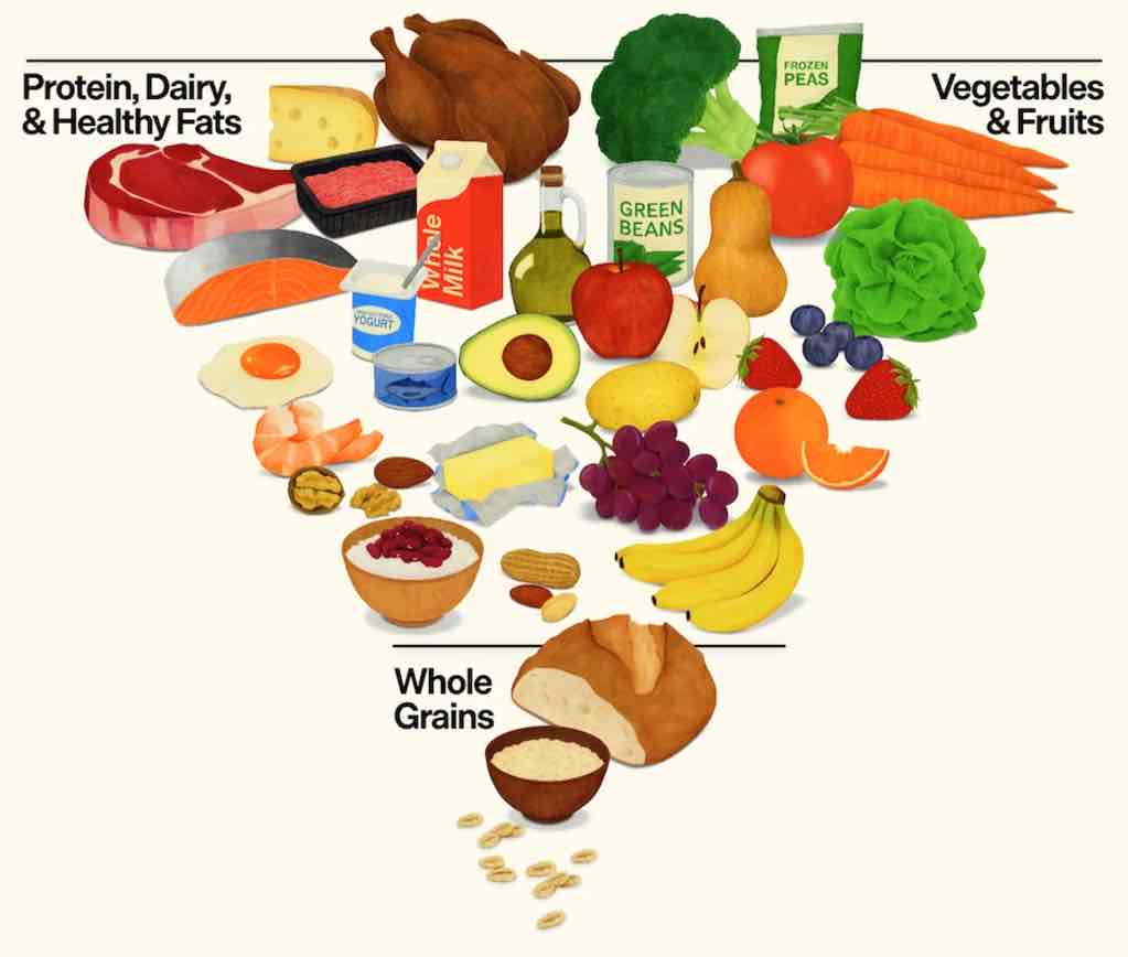 Expertise in Body-Weight Conditioning,Gut-Health Dietitian,Plant-Based Nutrition,Sports & Fitness Nutrition,Weight-Loss Coach,Menopause Wellness Coach,PCOS Support (nutrition),Postnatal Recovery