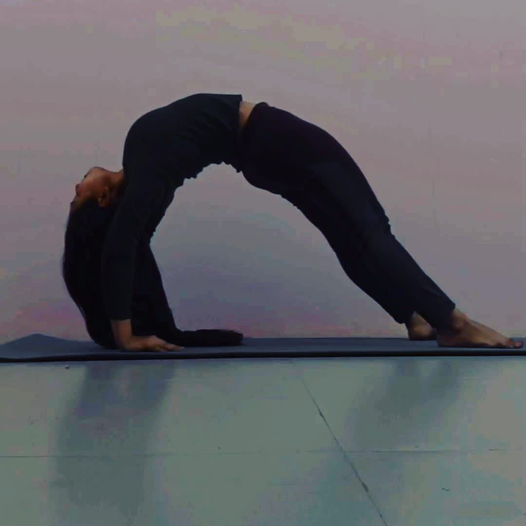 Expertise in Yoga & Ayurveda, Fitness & Training, Women’s Health