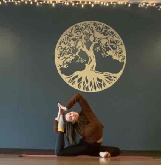 Expertise in Hatha Yoga,Meditation & Breathwork,Power Yoga / Vinyasa
