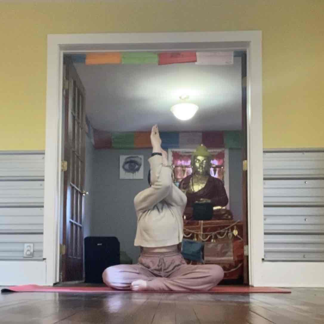 Expertise in Hatha Yoga,Meditation & Breathwork,Power Yoga / Vinyasa