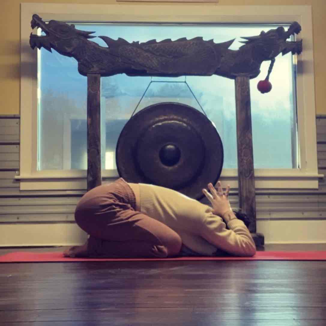 Expertise in Hatha Yoga,Meditation & Breathwork,Power Yoga / Vinyasa