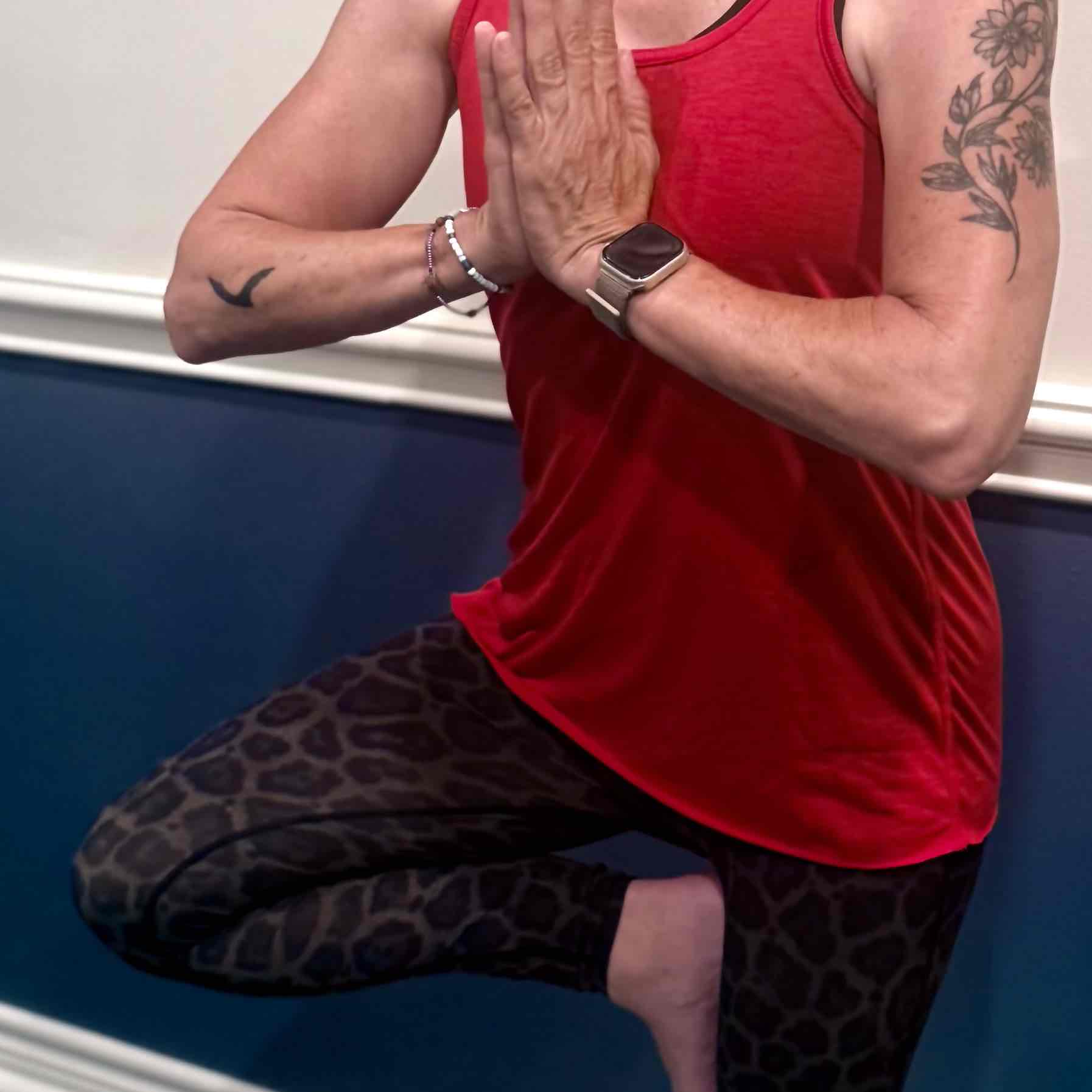 Expertise in Hatha Yoga,Power Yoga / Vinyasa