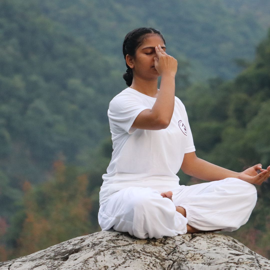 Expertise in Hatha Yoga,Meditation & Breathwork,Power Yoga / Vinyasa,Prenatal Yoga
