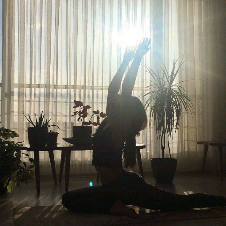 Expertise in Hatha Yoga,Meditation & Breathwork,Power Yoga / Vinyasa,Prenatal Yoga