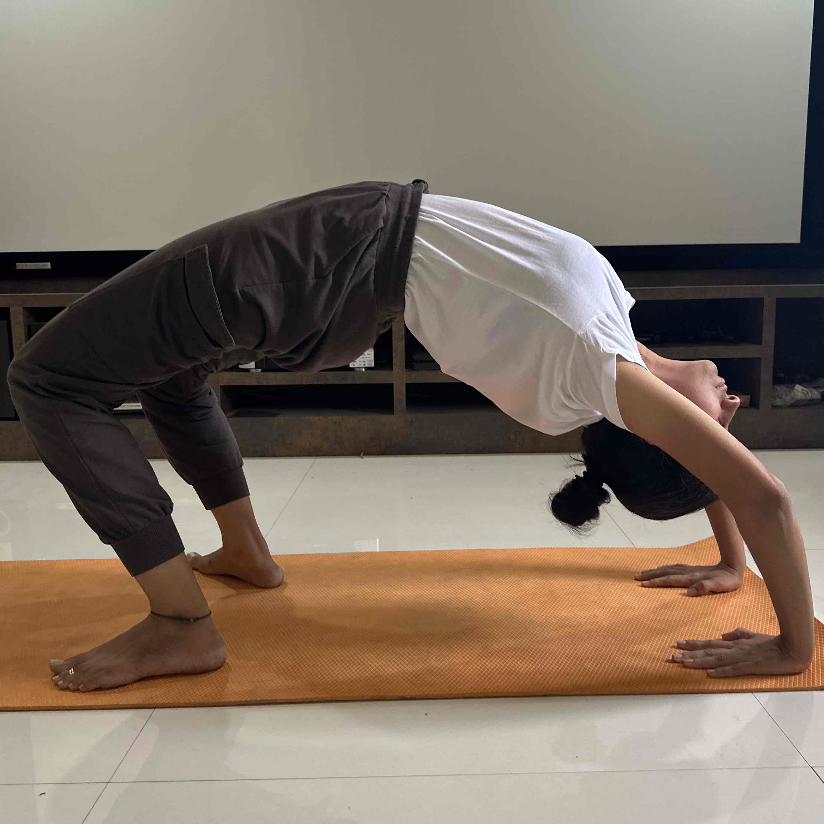 Expertise in Yoga & Ayurveda