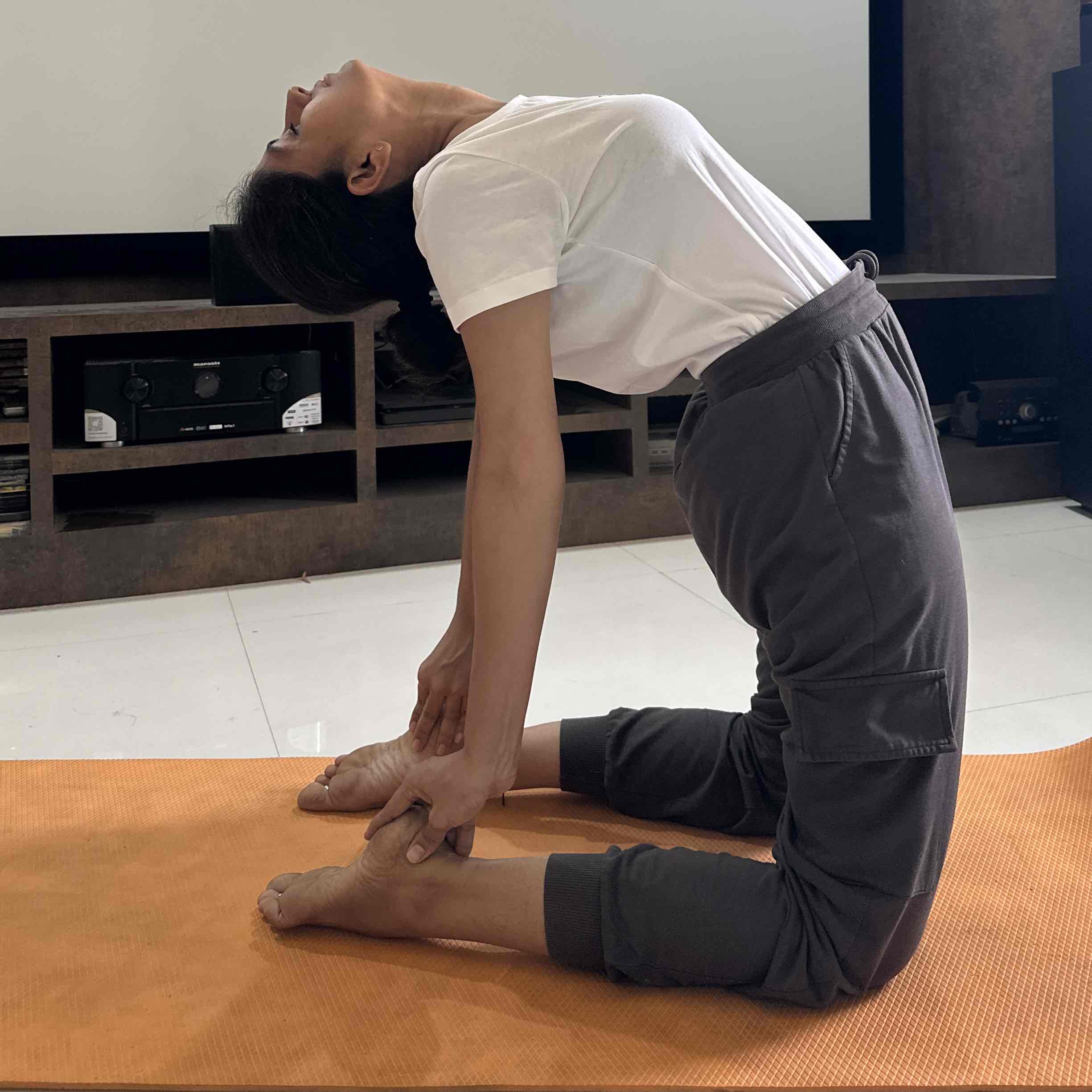 Expertise in Yoga & Ayurveda