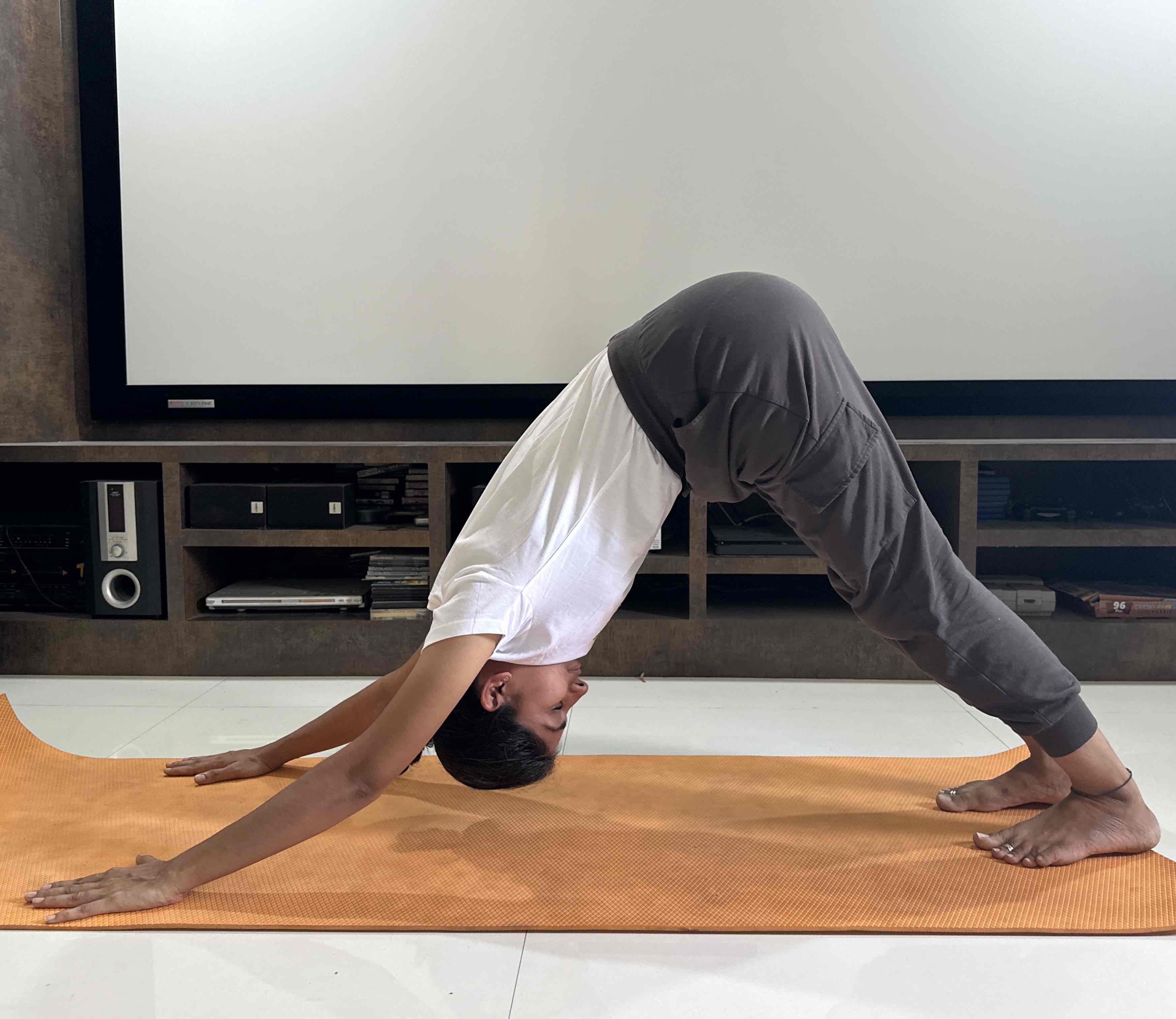 Expertise in Yoga & Ayurveda