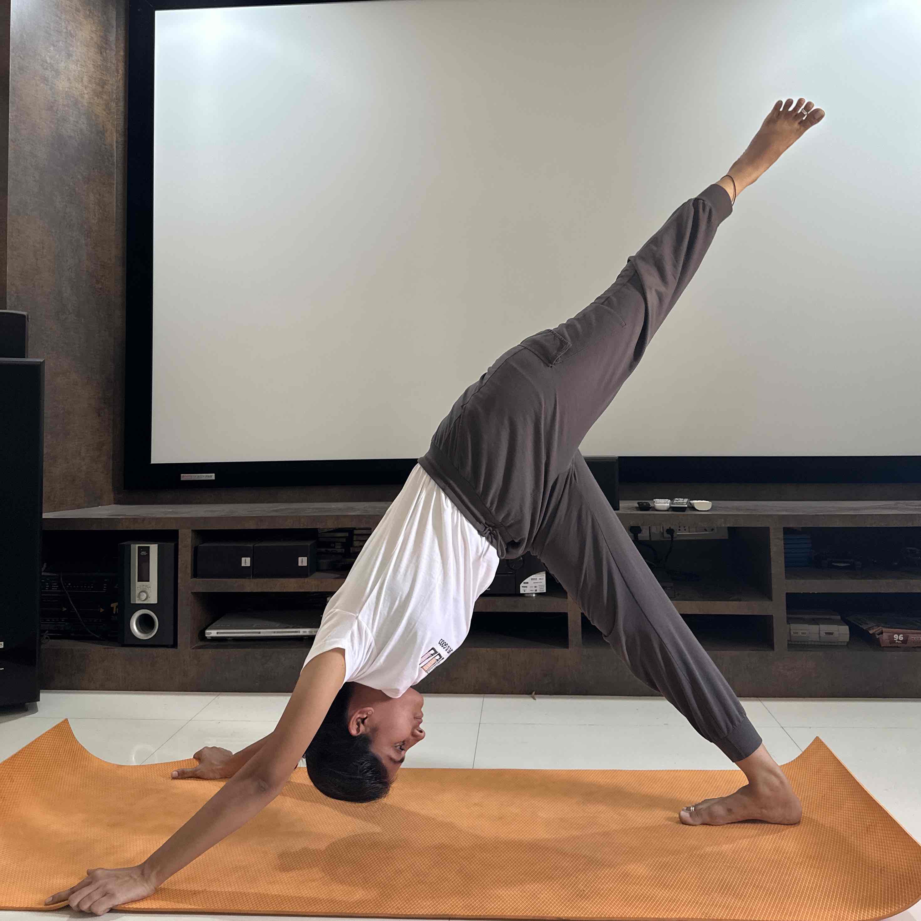 Expertise in Yoga & Ayurveda