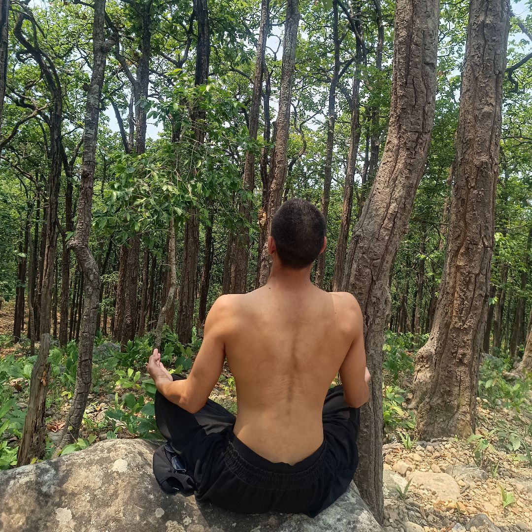 Expertise in Yoga & Ayurveda, Fitness & Training, Sports Performance, Nutrition & Diet, Rehab & Therapy, Mental Wellness