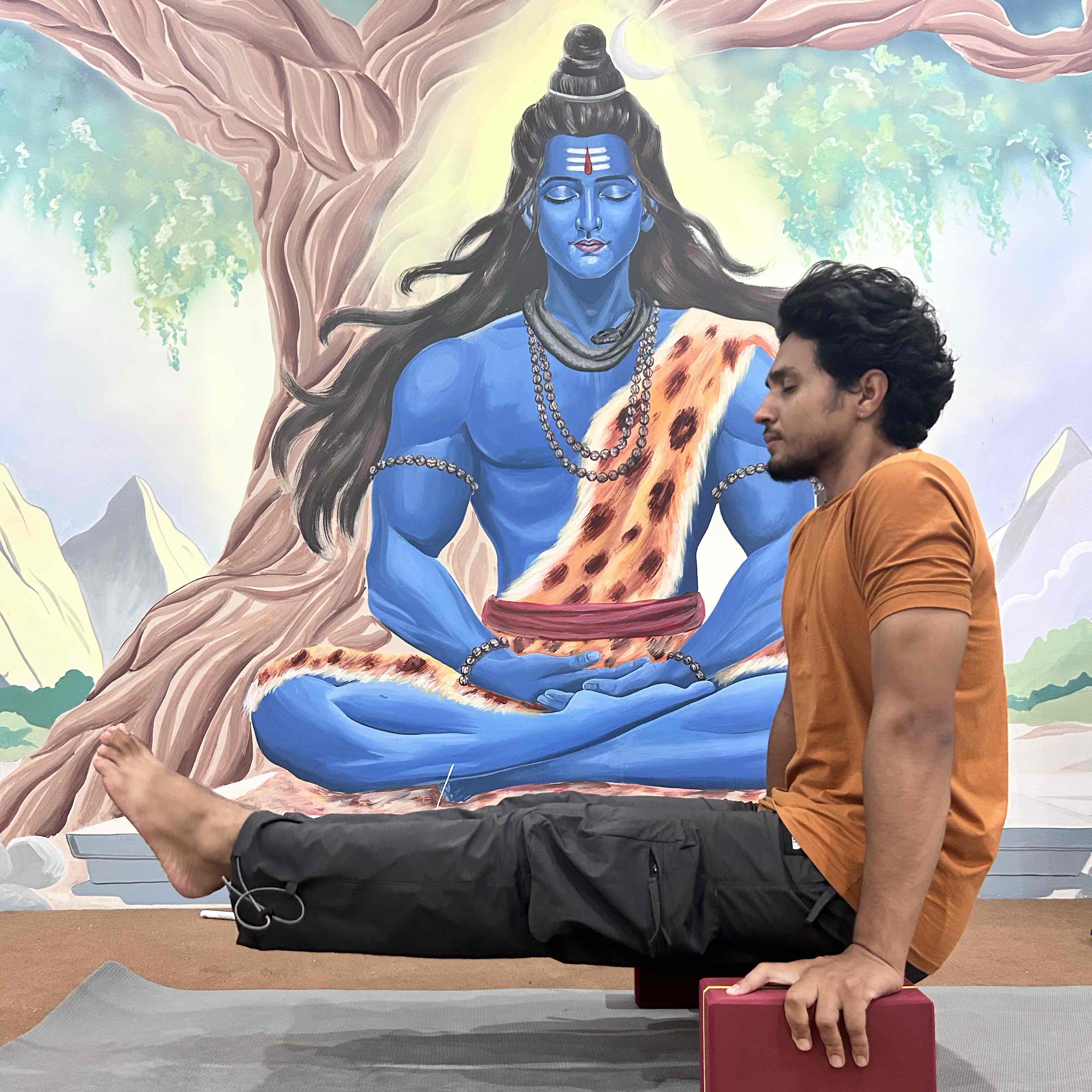 Expertise in Hatha Yoga,Meditation & Breathwork