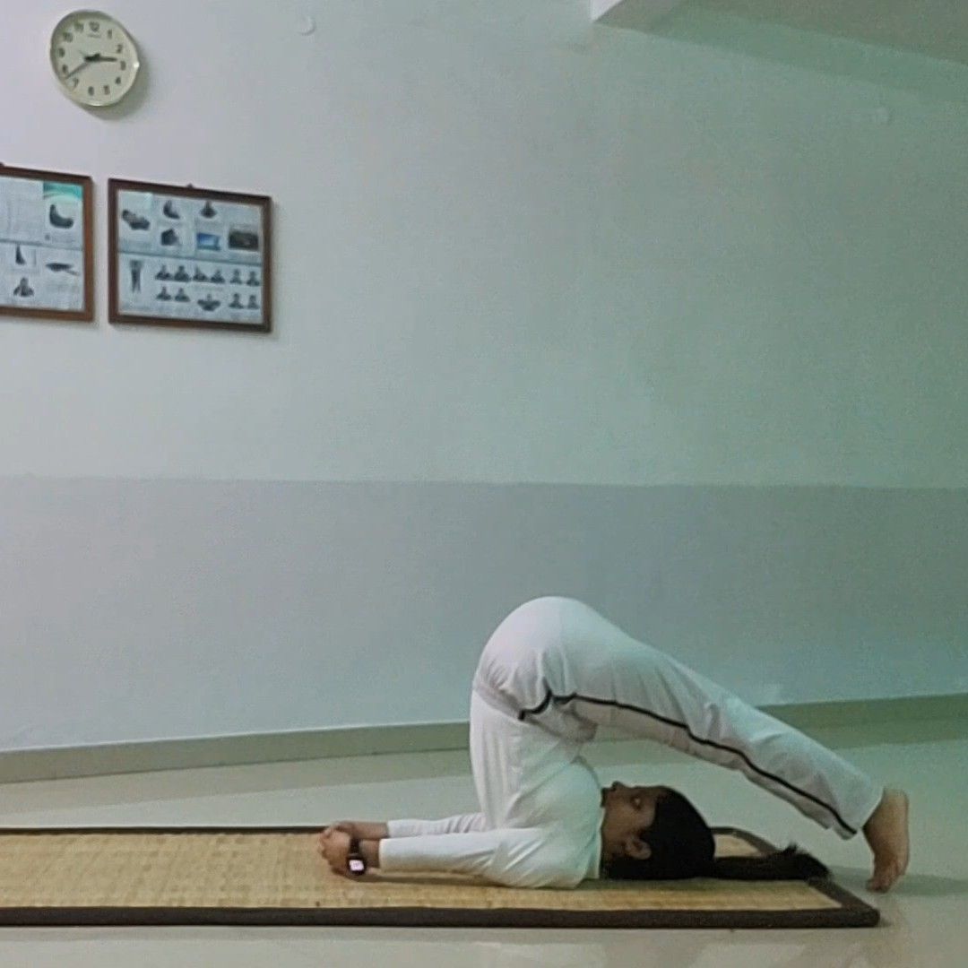 Expertise in Yoga & Ayurveda
