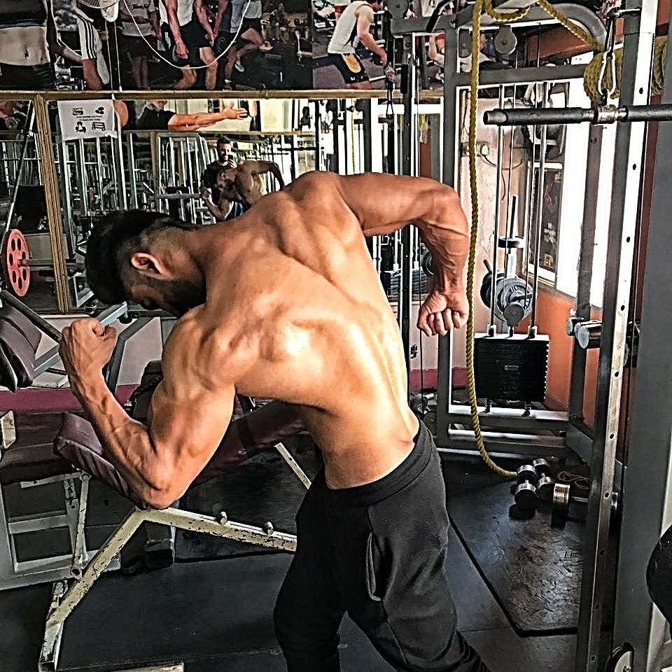 Expertise in Fitness & Training, Sports Performance