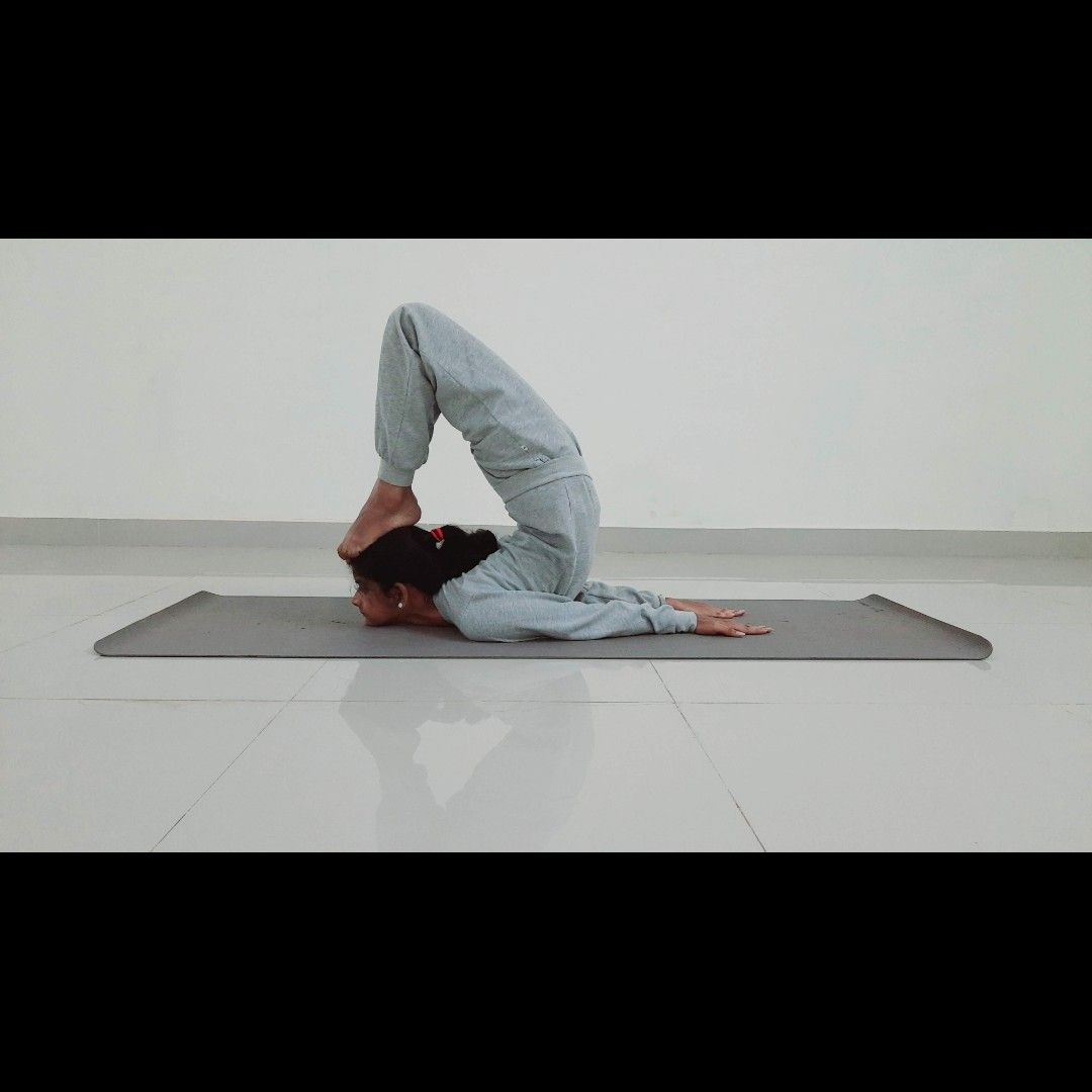 Expertise in Yoga, Weight Management Professional