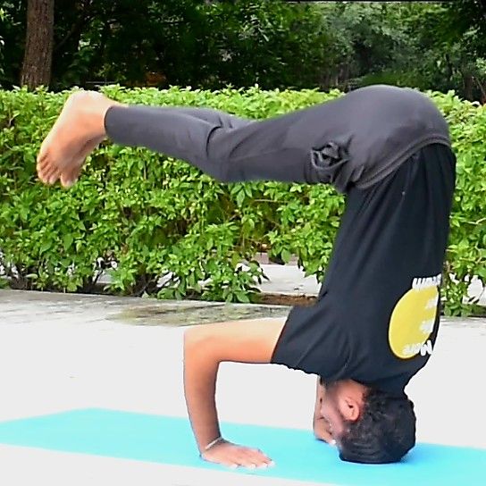 Expertise in Yoga, Functional Training, Weight Management Professional, Orthopedic Exercise, Sport Performance, Psychologist