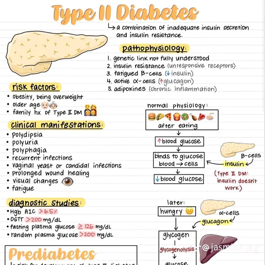 Expertise in Fitness Nutritionist, Weight Management Professional