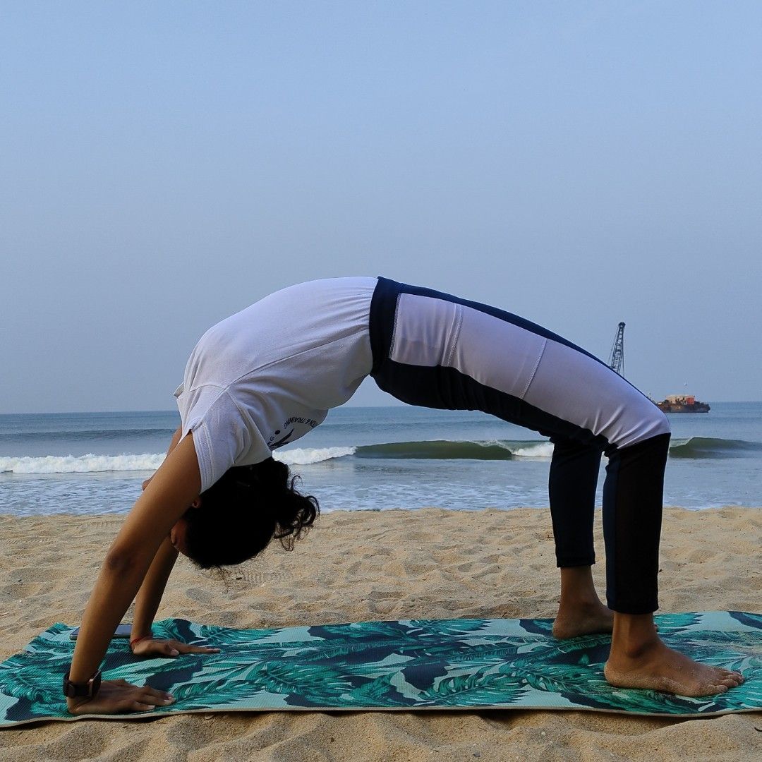 Expertise in Yoga, Functional Training, Weight Management Professional, Orthopedic Exercise, Circuit Training