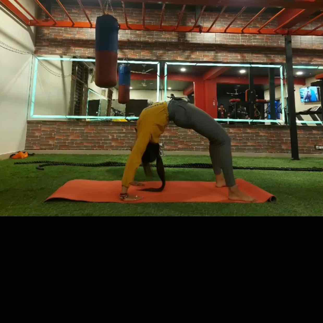 Expertise in Yoga, Zumba