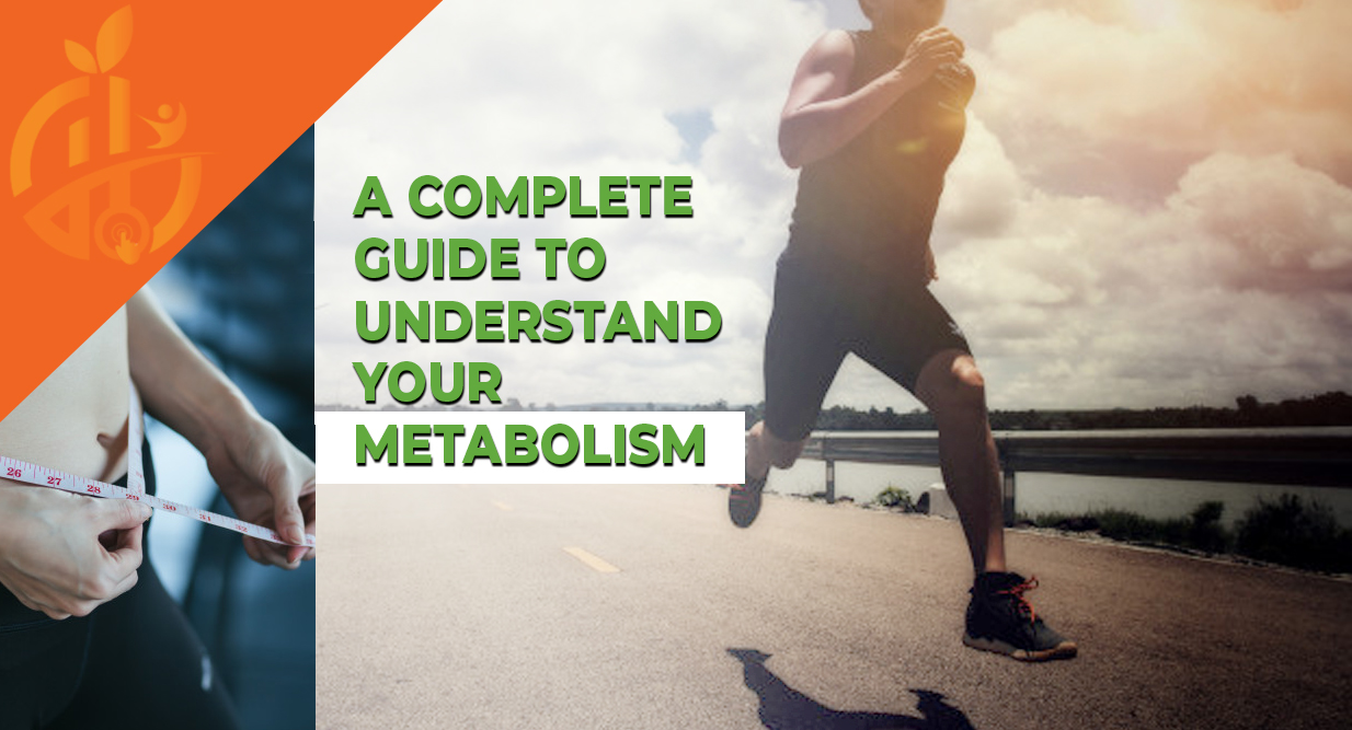 understanding your metabolism