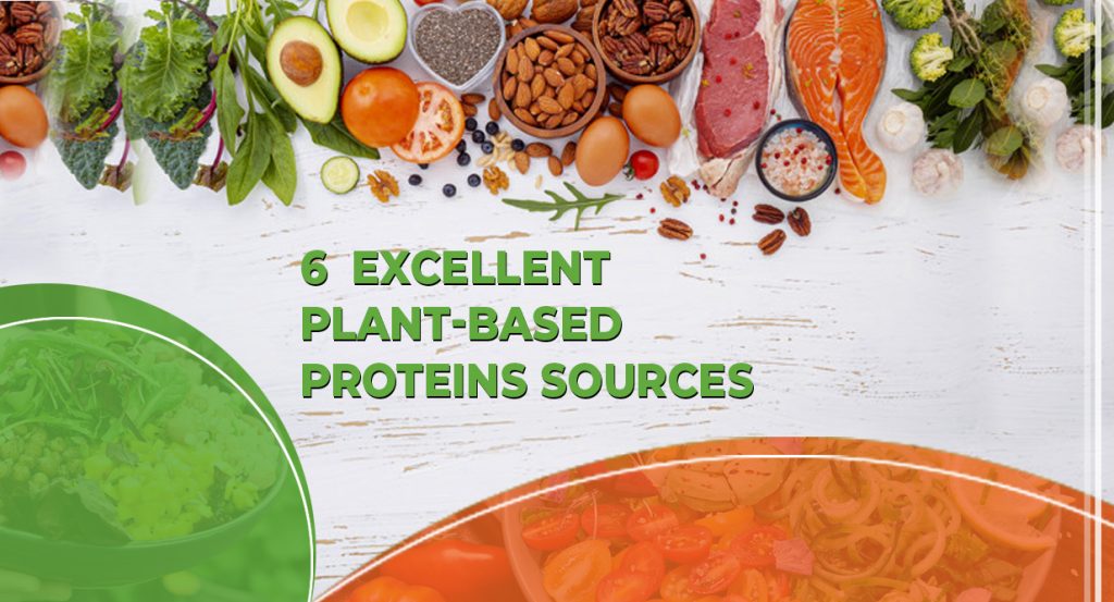 6 EXCELLENT PLANT-BASED PROTEIN SOURCES