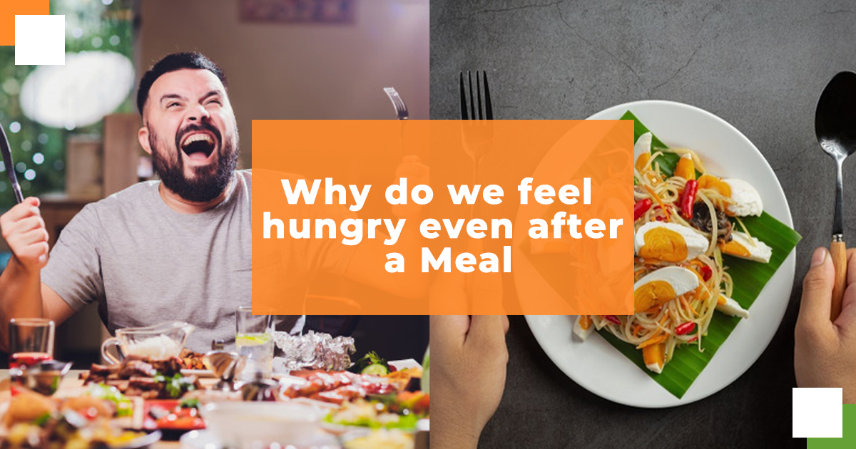 Why do we feel hungry even after a meal?