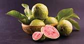 Guava for rainy season