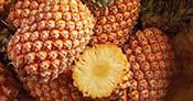 Pineapple A fruit for rainy season